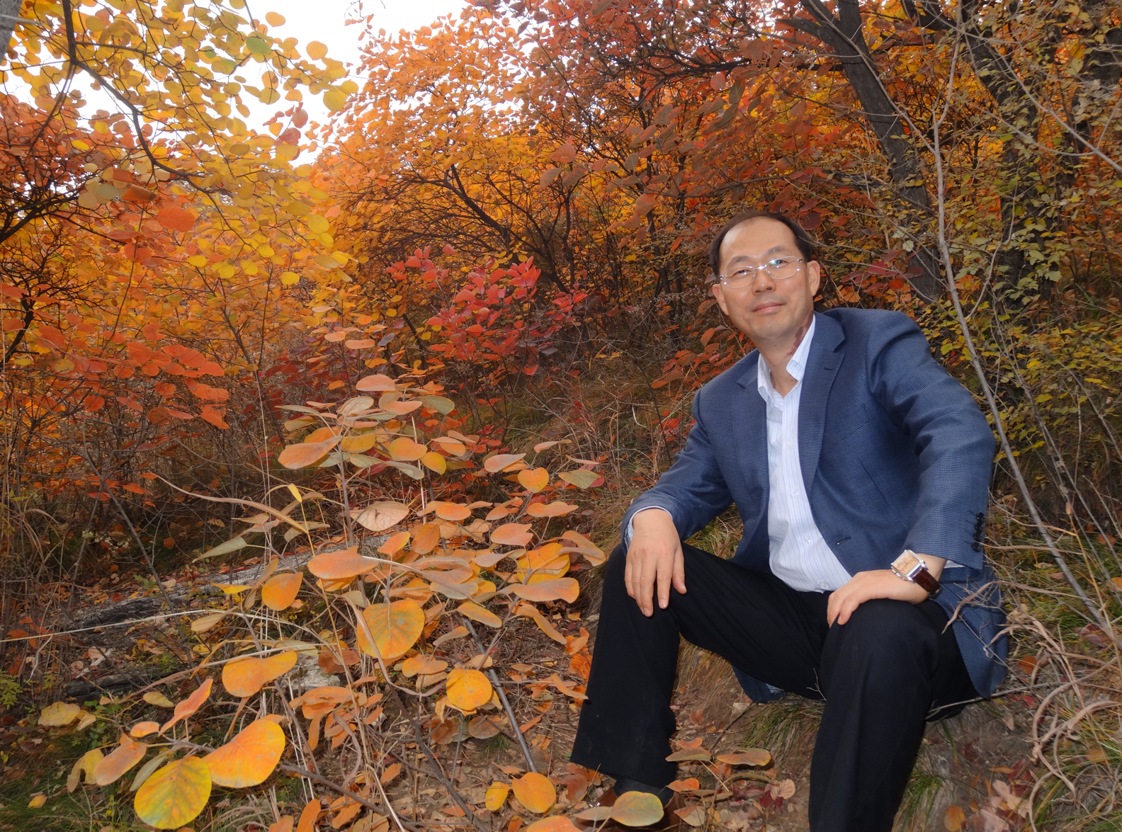 william威廉中文官网